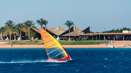 wind surfer rides in the sea on the background of the beach with palm trees in Egypt Dahab