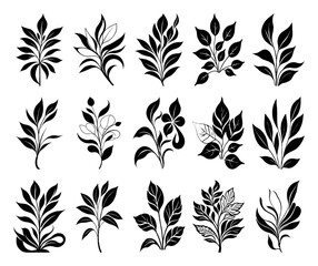 Black and white botanical pattern. For use in graphics, materials. Abstract plant shapes. Minimalist illustration for printing on wall decorations.