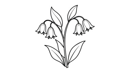 Bluebells flower vector silhouette illustration
on white background

