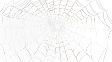 cut out, transparent photo, Transparent layer image, Remove background, clipped	
