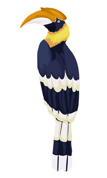 recommend clip art: hornbill with white background vector