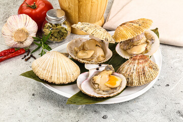 Raw fresh scallops in the shell