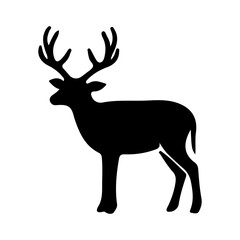 Obraz premium Deer