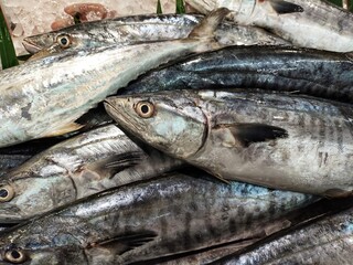 fresh fish sold at the market