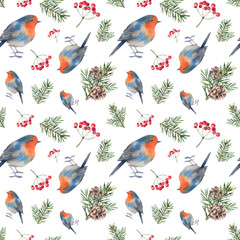 Fototapeta premium Robin with rowan berries and pine branches. Seamless pattern with forest birds and plants. Watercolor illustration hand painted. New Year and Christmas celebrations. A template for decoration.