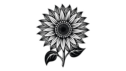 sunflower vector illustration on white background
