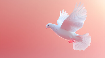 Fototapeta premium White dove, symbol of peace