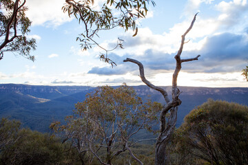 Korowal/Mt Solitary traverse in Blue Mountains National Park