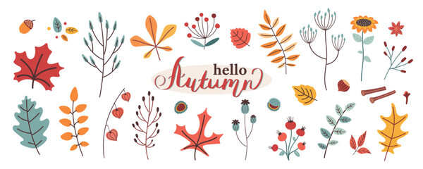 Autumn elements set in flat design. Vector collection of cute hand drawn illustrations in trendy minimal style. Leaves, plants, fruits, spices.