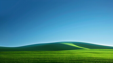 Obraz premium field landscape