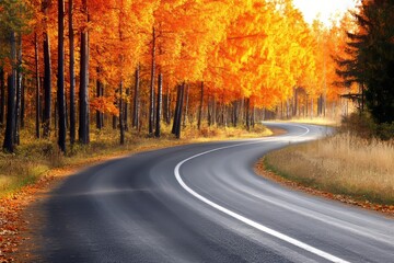 Fototapeta premium Beautiful autumn landscape with a forest and road in the mountains