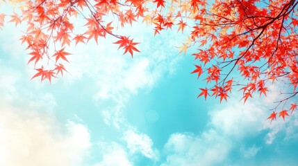 Red maple leaves against a blue sky. Perfect for autumnal or nature-themed projects.