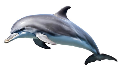 Dolphin Png Mammal on a isolated on white background. Generative AI.