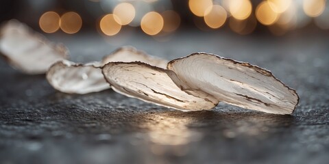 two strips of white torn panper ans an banckground.