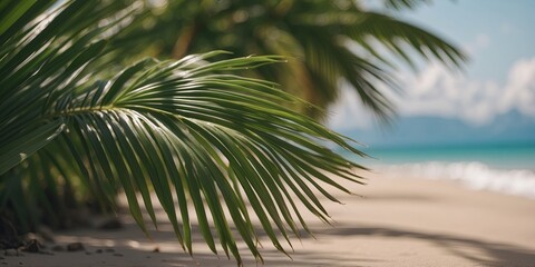 Fototapeta premium Blur of beautiful nature green palm leaf on tropical beach, abstract background.