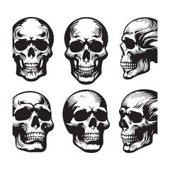 Iconic Skull Shadow Illustration