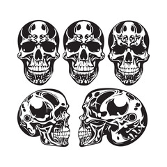 Iconic Skull Shadow Illustration