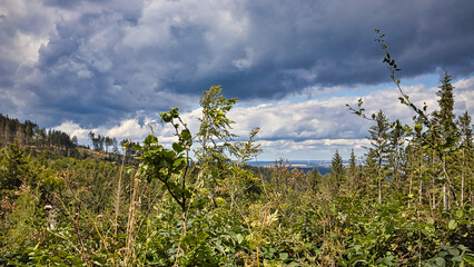 Ein Windradpark im Sommer bei Eisenach.
