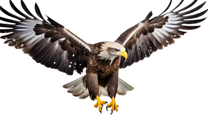 eagle Splash on a white isolated background. Generative AI.
