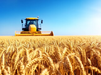 a harvest machine working on it and a blue sky background