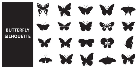 Obraz premium butterfly silhouette