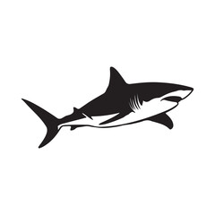 Shark silhouette vector with white Background