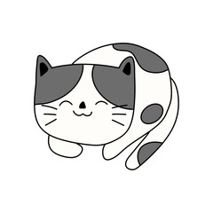 cat and mouse