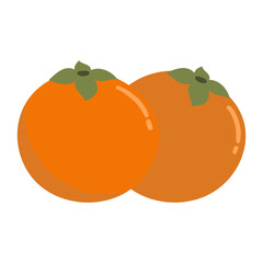 Tomato vector illustration 