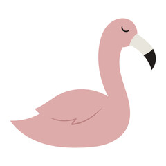 Pink beautiful flamingo