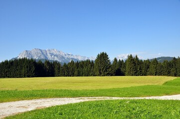 Buckelwiesen bei Mittenwald