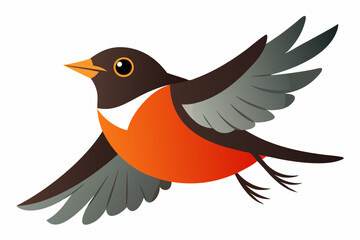 Robin  vector art and illustration