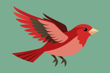 Finch Bird vector art and illustration