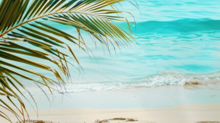 A close-up of palm leaves swaying gently in the breeze, with a turquoise ocean serving as a stunning backdrop.