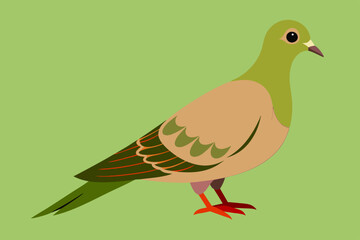 Dove vector art and illustration