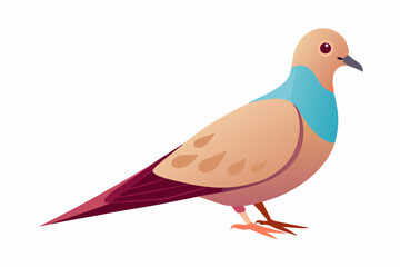 Dove vector art and illustration