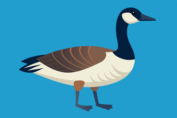  Goose vector art  and illustration