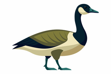  Goose vector art  and illustration