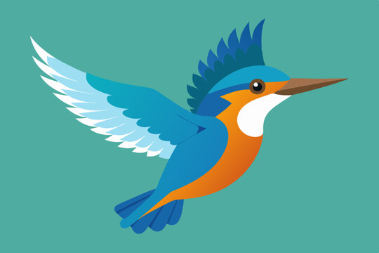 recommend clip art: kingfisher  vector art and illustration