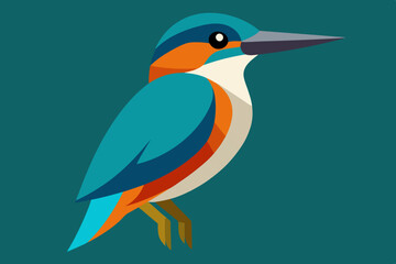 kingfisher  vector art and illustration
