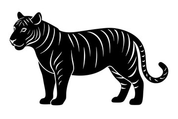 Tiger vector art  and illustration
