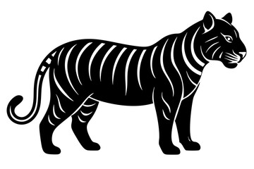 Tiger vector art  and illustration