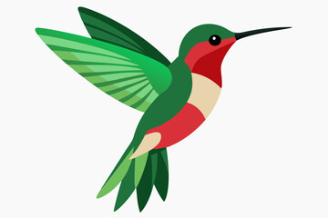 Humming bird vector art and illustration