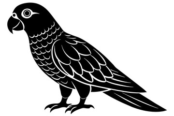 Parrot Bird  vector art and illustration
