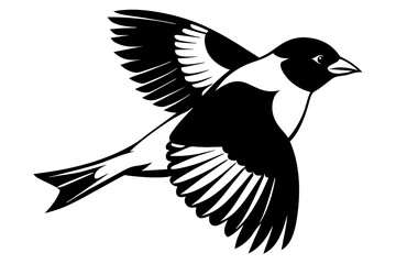 Goldfinch Bird vector art and illustration