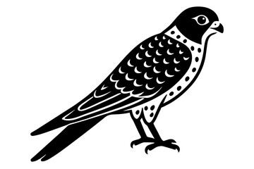 kestrel Bird vector art and illustration