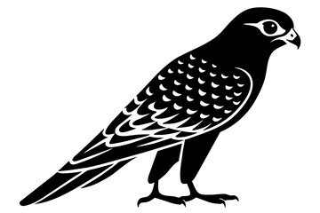 kestrel Bird vector art and illustration