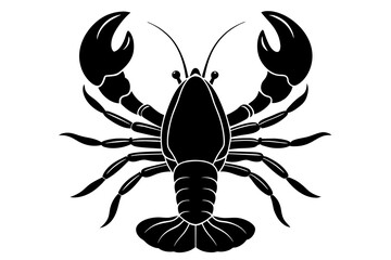 Shrimp fish vector art and illustration