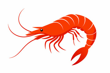 Shrimp fish vector art and illustration