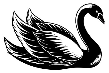 Fototapeta premium Goose vector art and illustration 