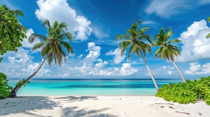 Tropical Paradise Beach with Palm Trees